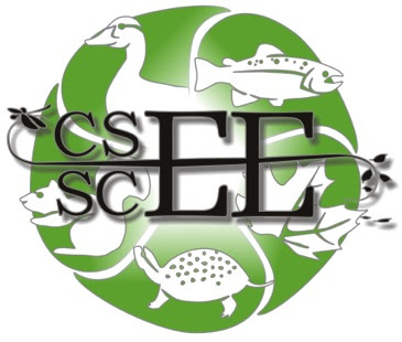 Logo CSEE